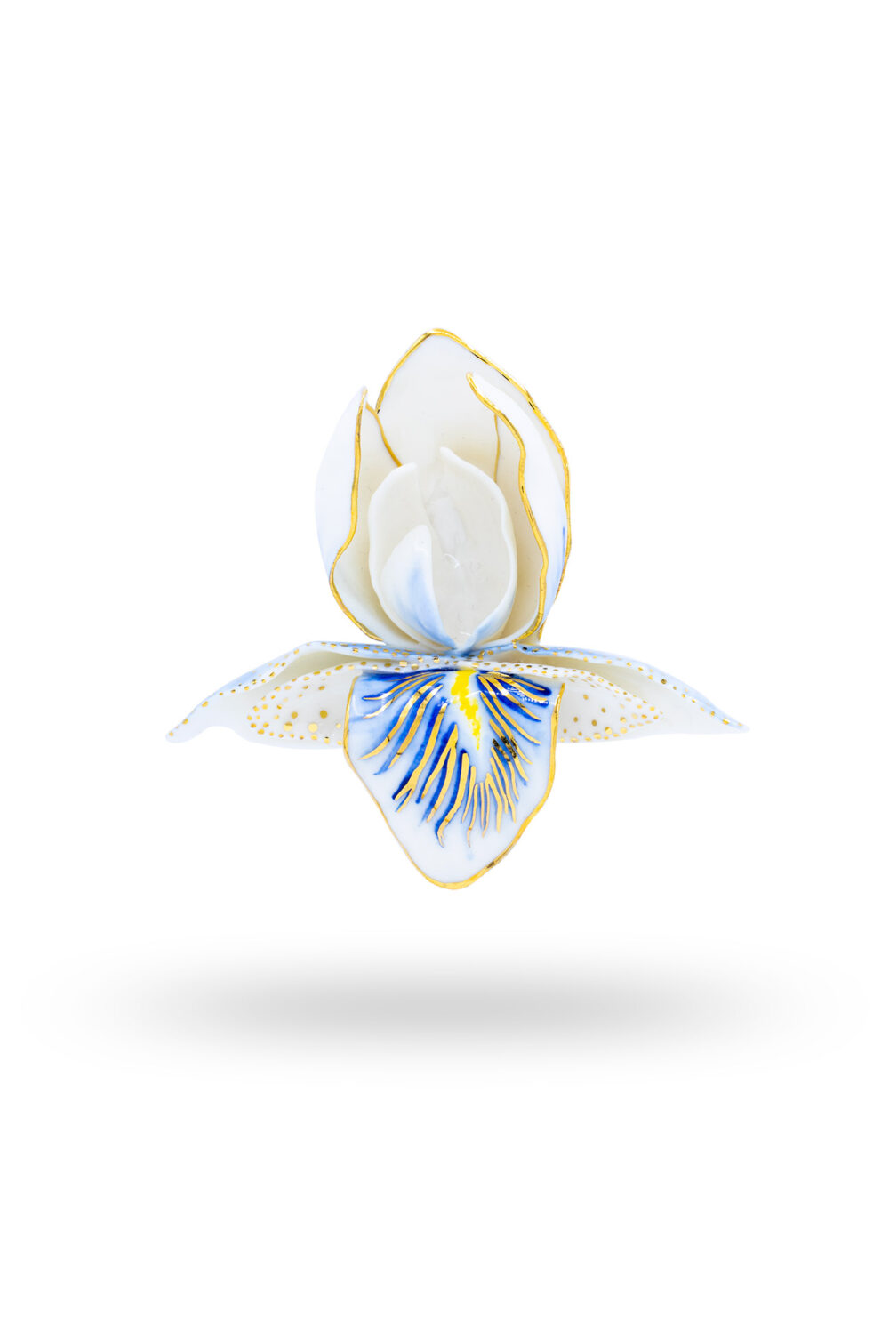 Ayame - dianacojocaru.es