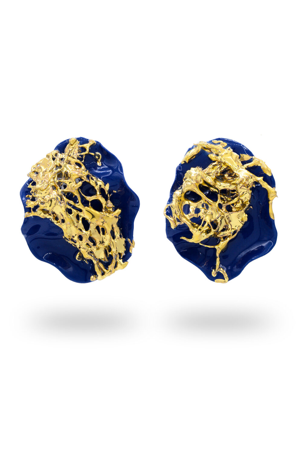 Sea Life Enigma - dianacojocaru.es